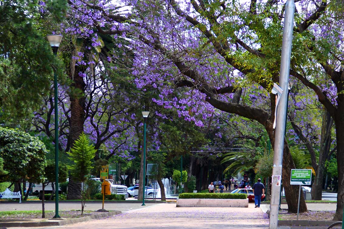 Parques en Polanco Mexico Distrito Federal