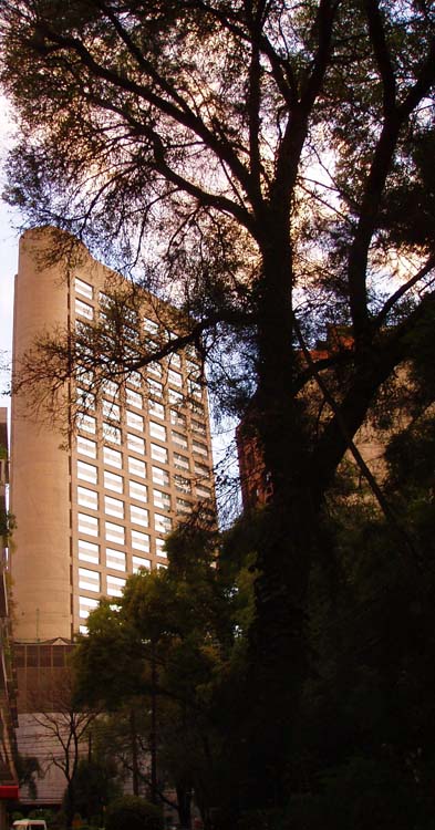 Polanco TV presenta la Colonia Polanco en Mexico Distrito Federal