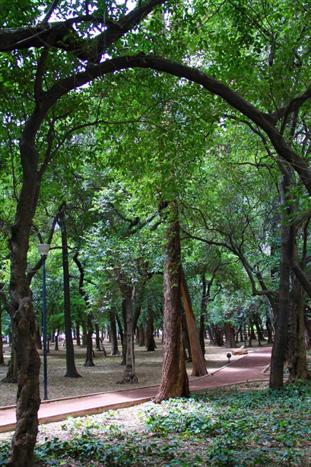 PARQUES POLANCO