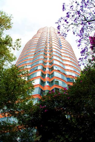 POLANCO MEXICO TORRES ROJAS 34