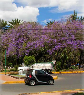 Parques en Polanco df Mexico