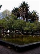 Parque Polanco
