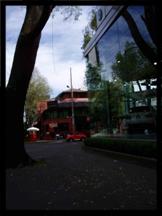 polanco mexico df