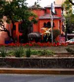 Restaurant Polanco